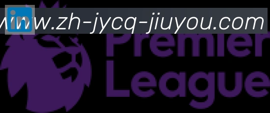 九游jiuyou合作伙伴